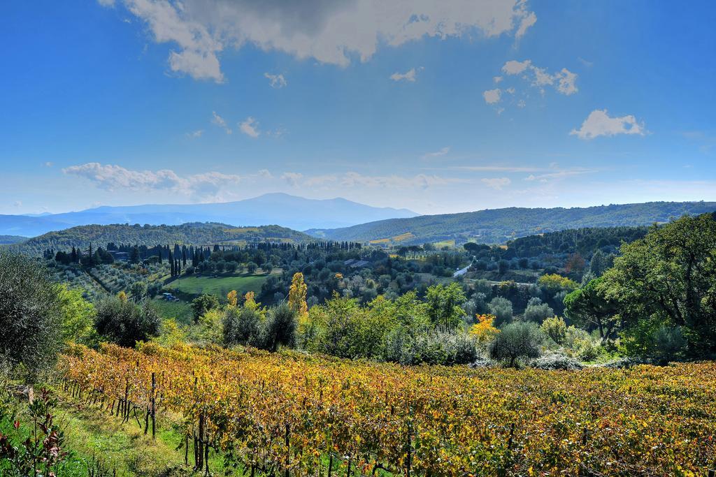Agriturismo Fraschetta Монтальчино Экстерьер фото