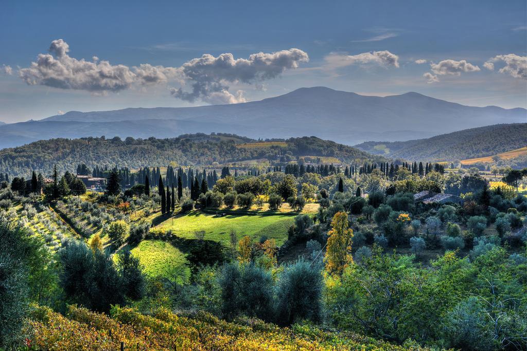Agriturismo Fraschetta Монтальчино Экстерьер фото