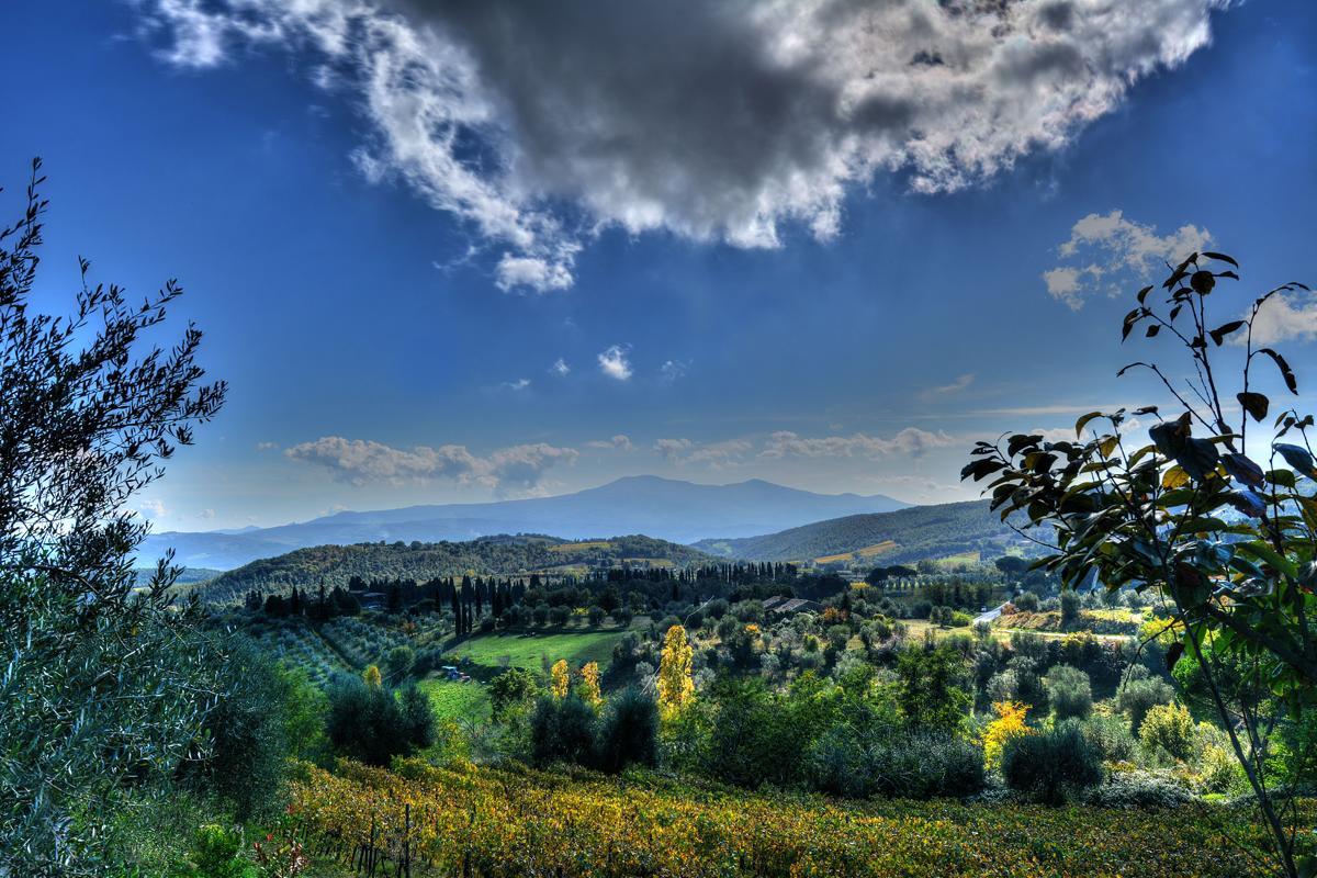 Agriturismo Fraschetta Монтальчино Экстерьер фото